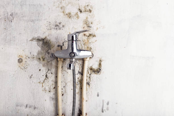 Best Residential Mold Remediation in Slaton, TX