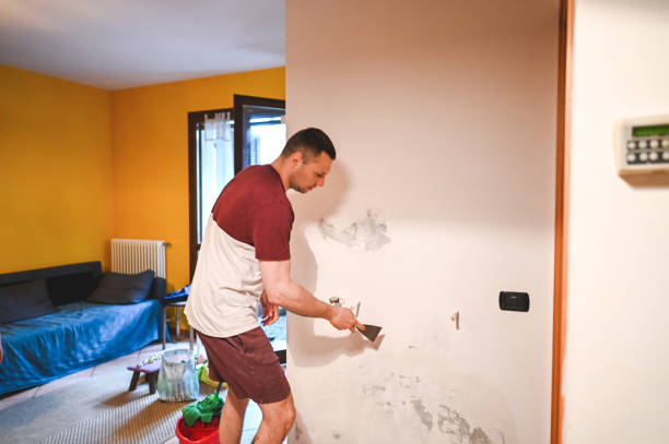 Best Health and Safety Mold Remediation in Slaton, TX