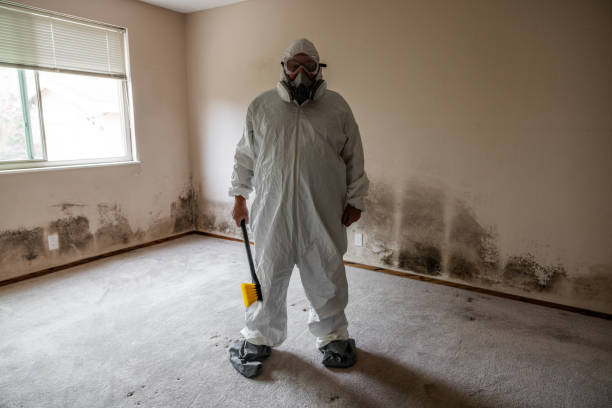 Best Attic Mold Remediation in Slaton, TX